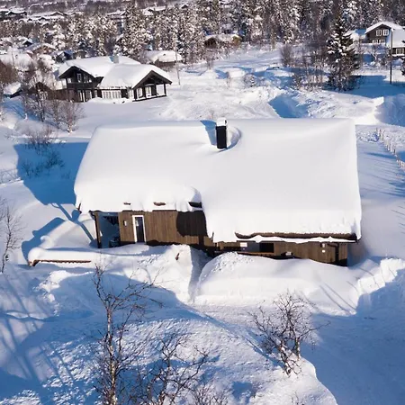 New Cozy By Trails And Nature Paths Holiday home Beitostolen